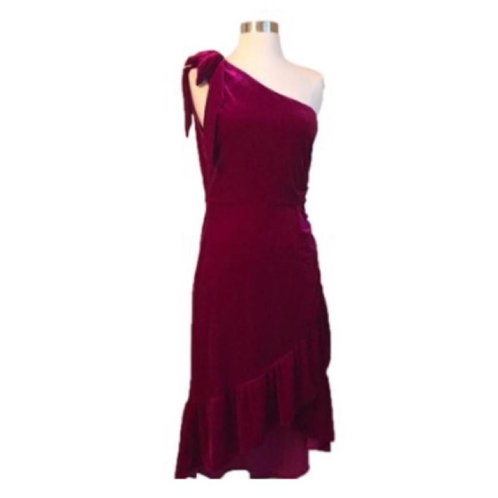 Lucy Paris One Shoulder Rouched Dress